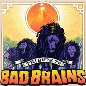 Tribute to BAD BRAINS