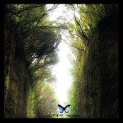 Universos Atemporales