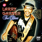 Larry Garner: Too Blues