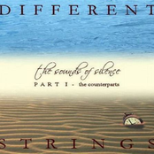 The Sounds of Silence Part 1: The Counterparts