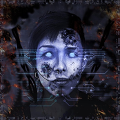 Cyber Phoenix