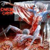 Addicted To Vaginal Skin by Cannibal Corpse