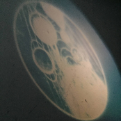 A New Place To Live / Golden Bear