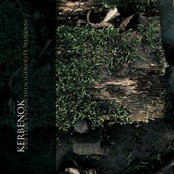 Der Erde Entwaschen (Gewollte Wunden)