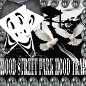 Wood Street Hood Trap