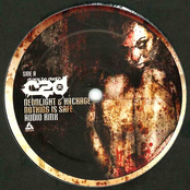 Nothing Is Safe (Audio Remix) / Terror