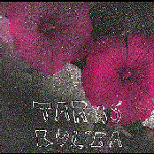 Taras Bul'ba (2002)