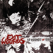 Everything Is Perfect by Exit Wounds
