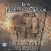 Señor, Tuya Es Mi Vida, Vol. 2