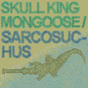 Megalotragus by Skull King Mongoose