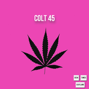 colt 45