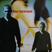 dave hammond