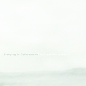 The Great White North