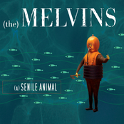 The Hawk by Melvins