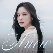 A N E W - Single