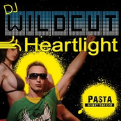 Dj Wildcut