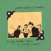 Pocket Full Of Crumbs: In My Hands I Hold a Lucky Cricket