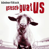 Gsesch guat us