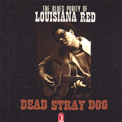 Back To The Road Again by Louisiana Red