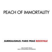 Surrealismus: Paris Prag Rockville