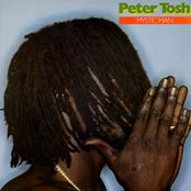 Buk-in-hamm Palace by Peter Tosh