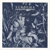 Xerosma