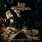 Immaculate Poison by Dead Congregation