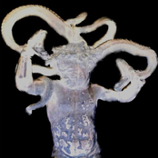 Was wollt ihr schützen