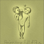 Ancient Horse, Full of Glue.