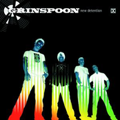 Anyday Anyhow by Grinspoon