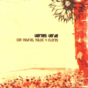 Con Piedras, Palos y Flores