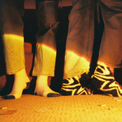 Colin Bracewell: Cozy