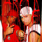 klk frikitona (tool) : arca + plan b