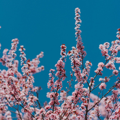 CAN I GET A HELL YEAH