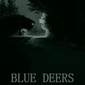 Blue Deers: Special Rough Version