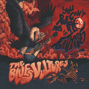 The Blues Vultures: You Can't Ruffle My Feathers