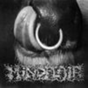 Mindflair / Running Guts