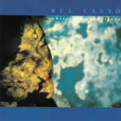 White Out Conditions