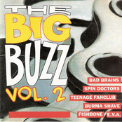 The Big Buzz Vol. 2