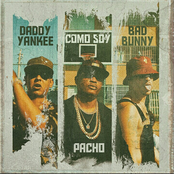 Como Soy