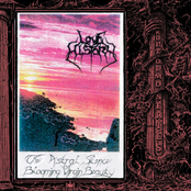 The Astral Silence Of Blooming Virgin Beauty