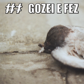 GOZEI E FEZ