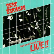 20th Century Man by The Beat Farmers