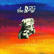 Jetsam by The Bats