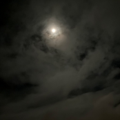 That We Must Pass Through This Life