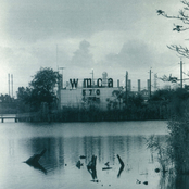 If One of These Bottles Should Happen to Fall