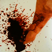 Monarchy of Terror on the Broken Mind by Voorh's Disease