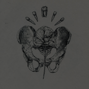 ... y ya no me quedan más dientes por arrancarme.