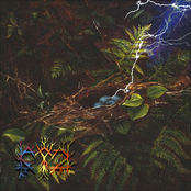 So Quem Viu o Relampago a Sua Direita Sabe