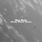 Study White Noise